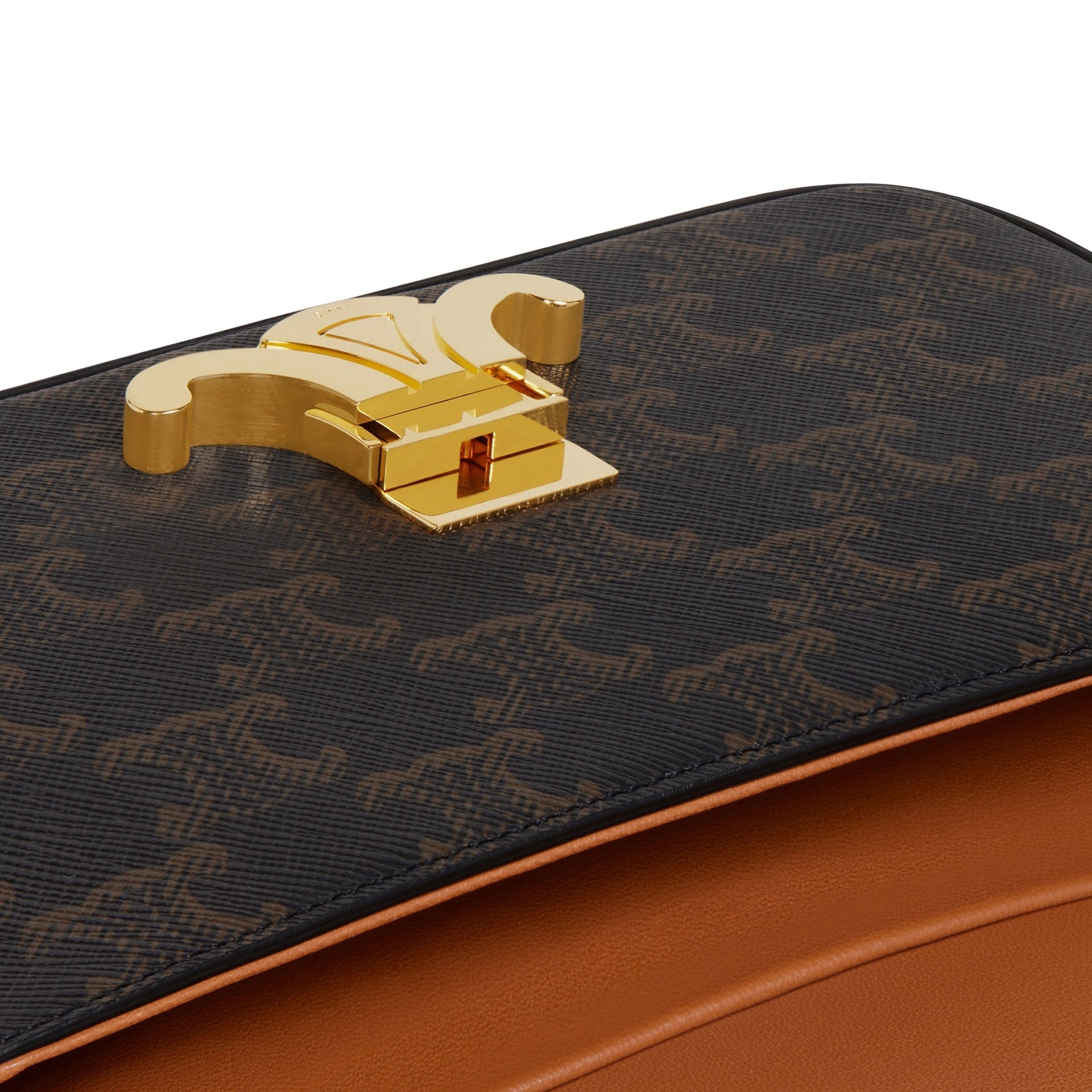 Claude Triomphe Shoulder Bag - 4