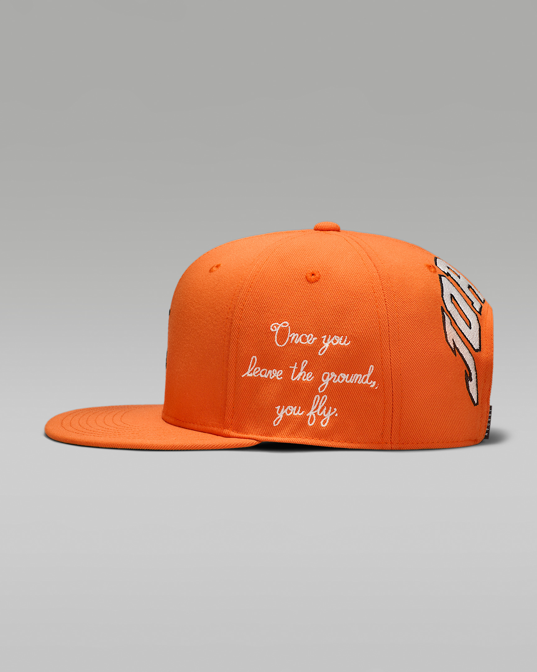 Jordan Pro Structured Hat - 5