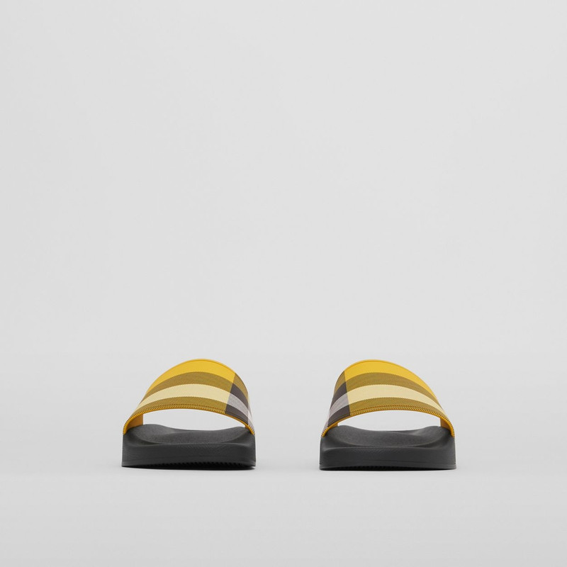 Check Print Slides 4