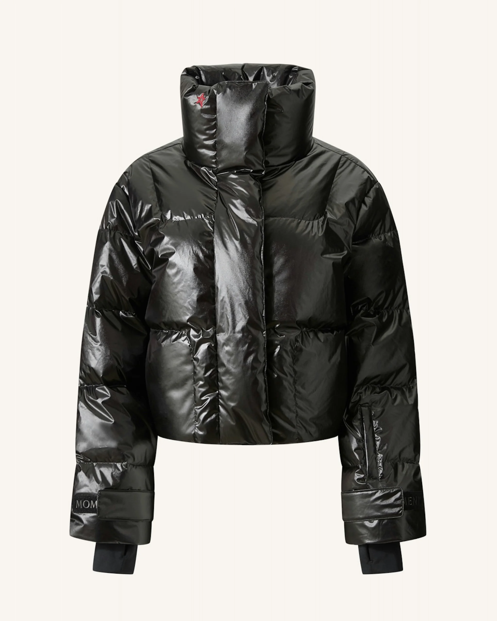Astralis Down Ski Jacket - 1