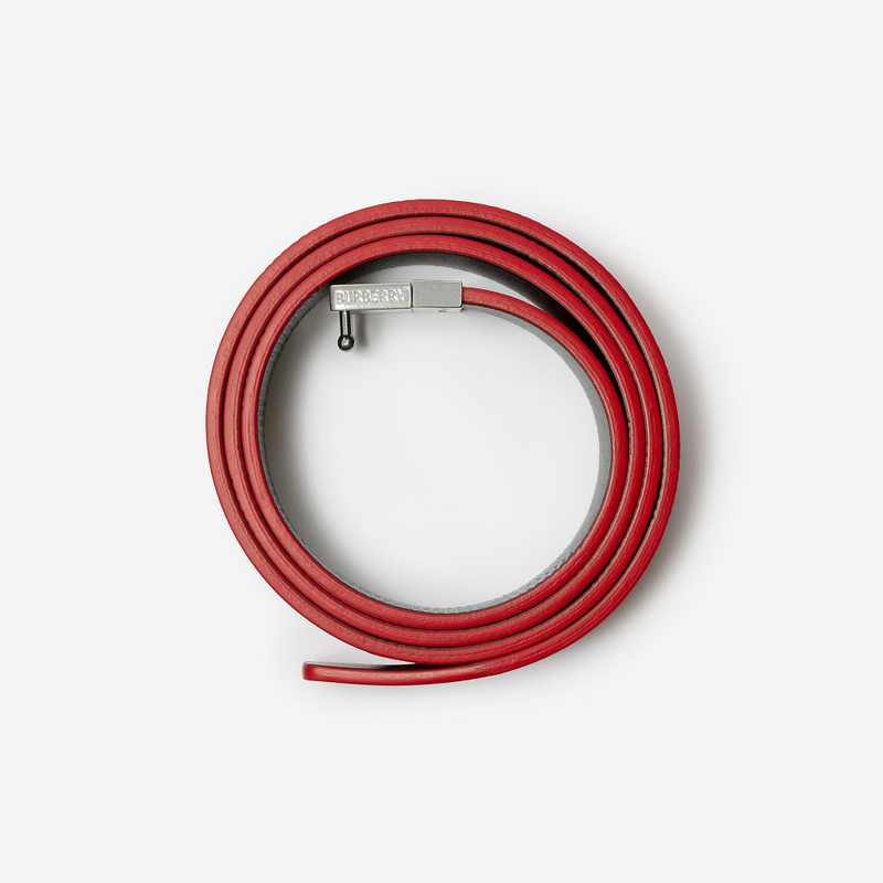 Reversible Leather B Cut Belt 3