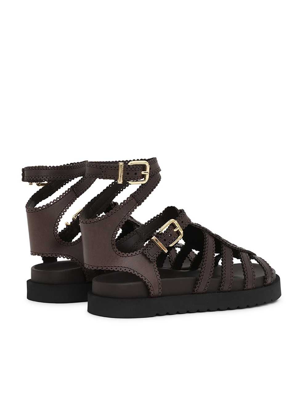 GOLDIE GLADIATOR - 5