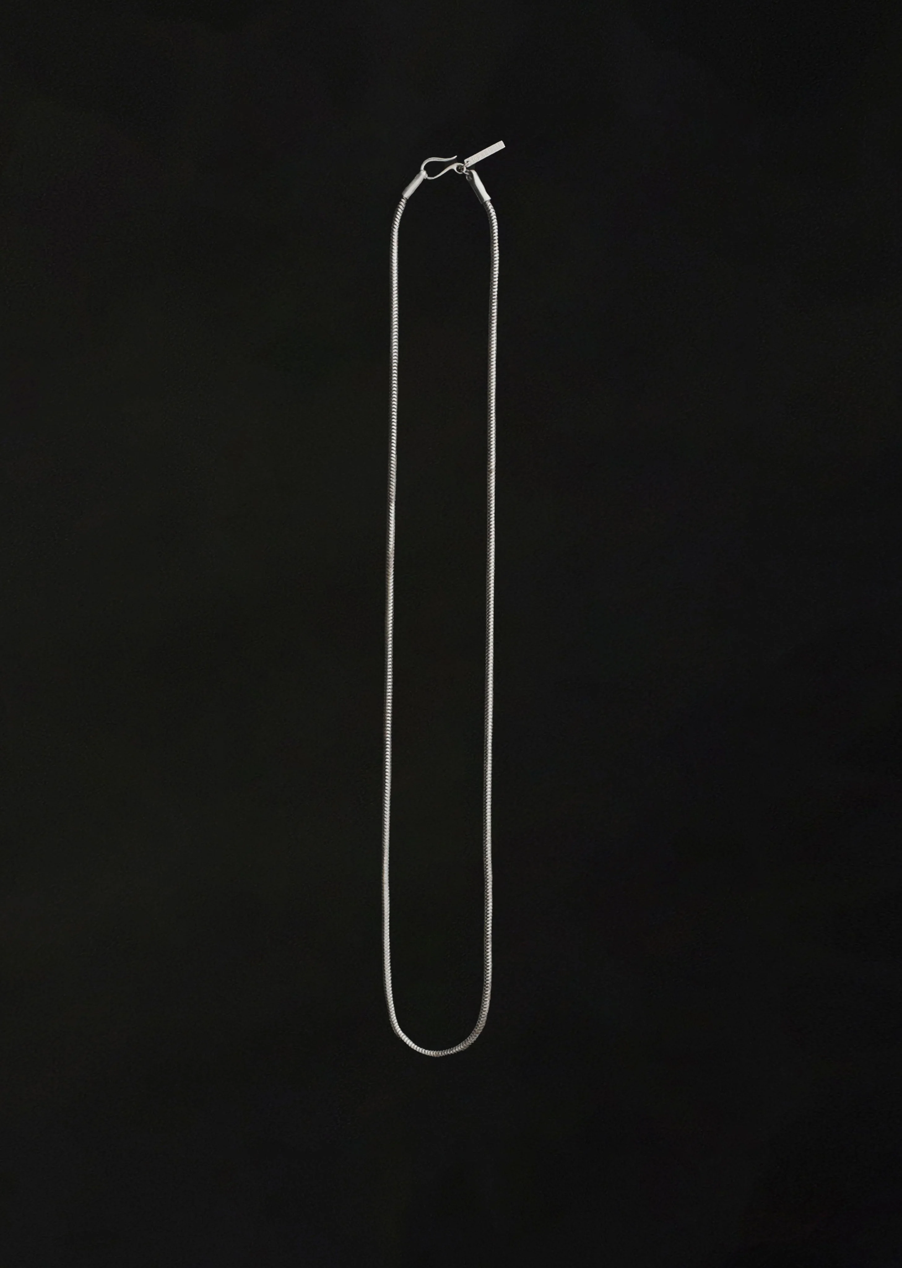 Serpent Silver Chain, 18 - 1