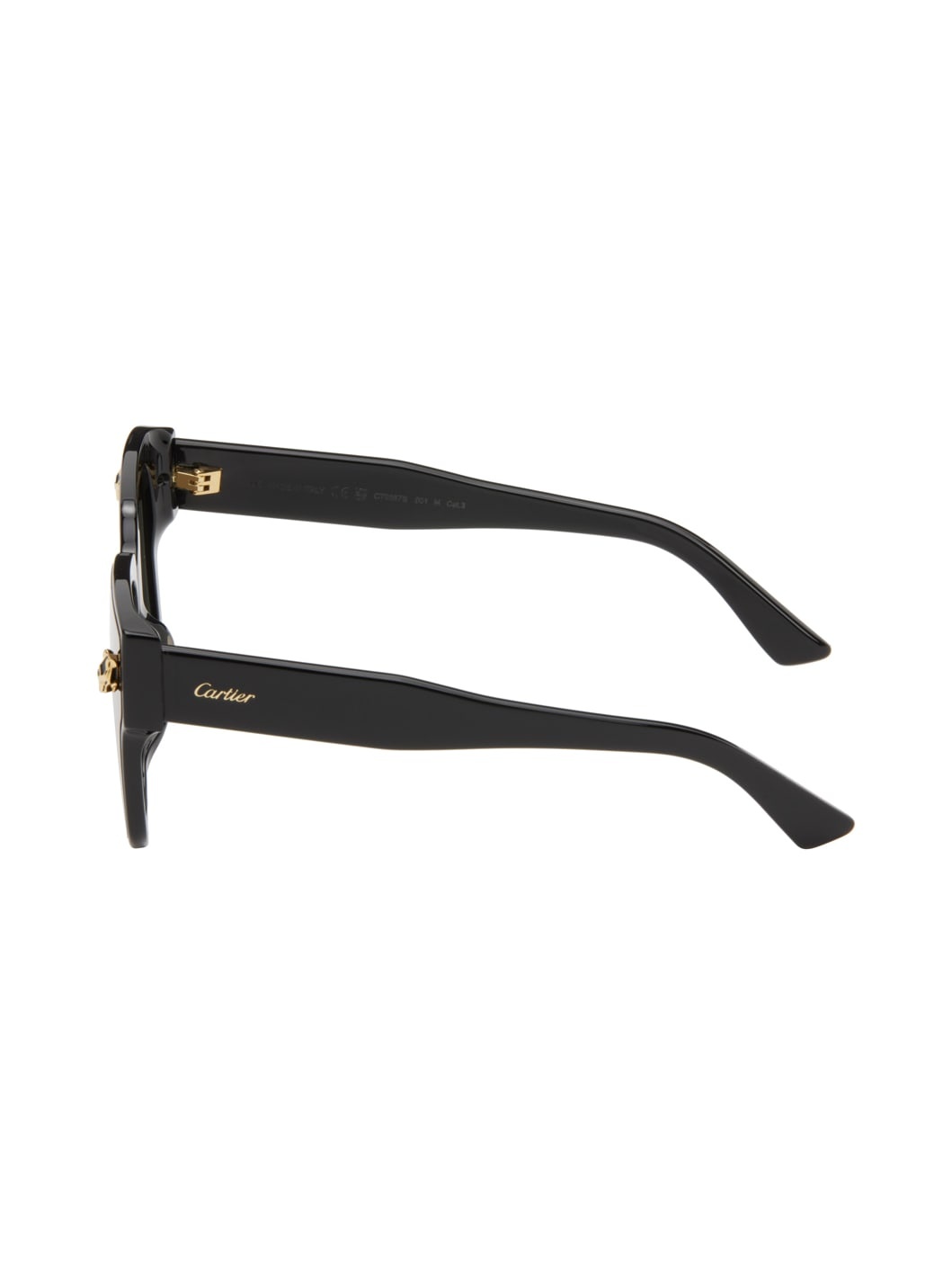 Black Panthère Wayfarer Acetate Sunglasses - 3