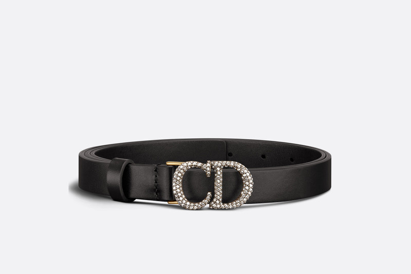 Dior Saddle Belt outlook