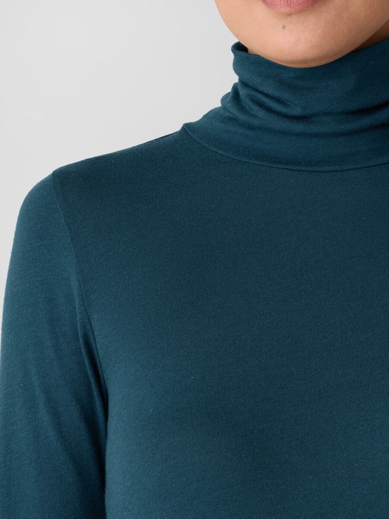 Sheer Cotton Blend Knit Turtleneck Top 5