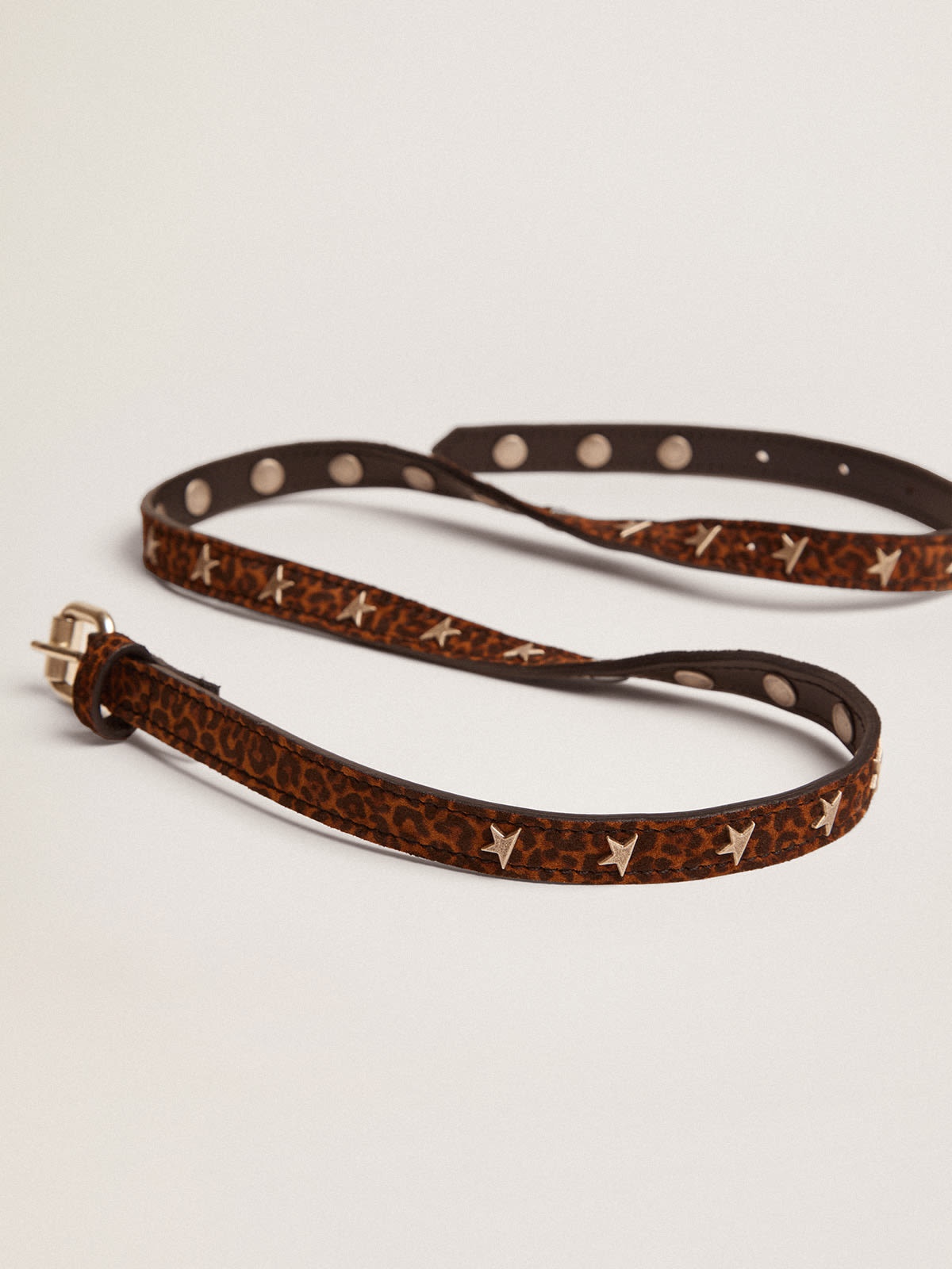 Molly belt in brown leopard-print suede with star-shaped studs - 4