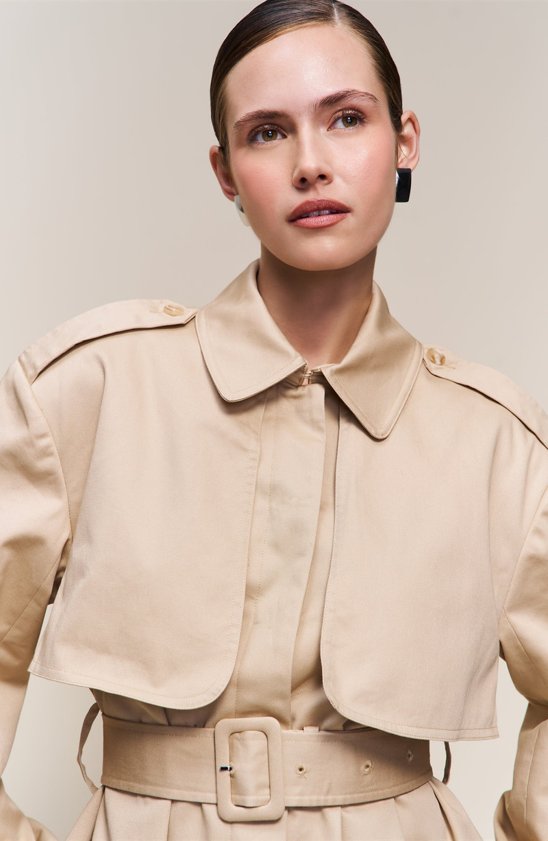 Guizio Thea Trench Coat in Soft Taupe 7