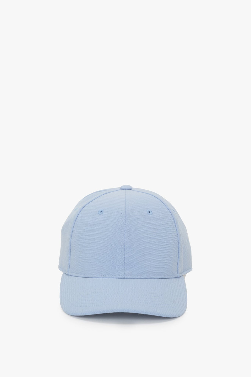 Frame Cap In Delphinium 1