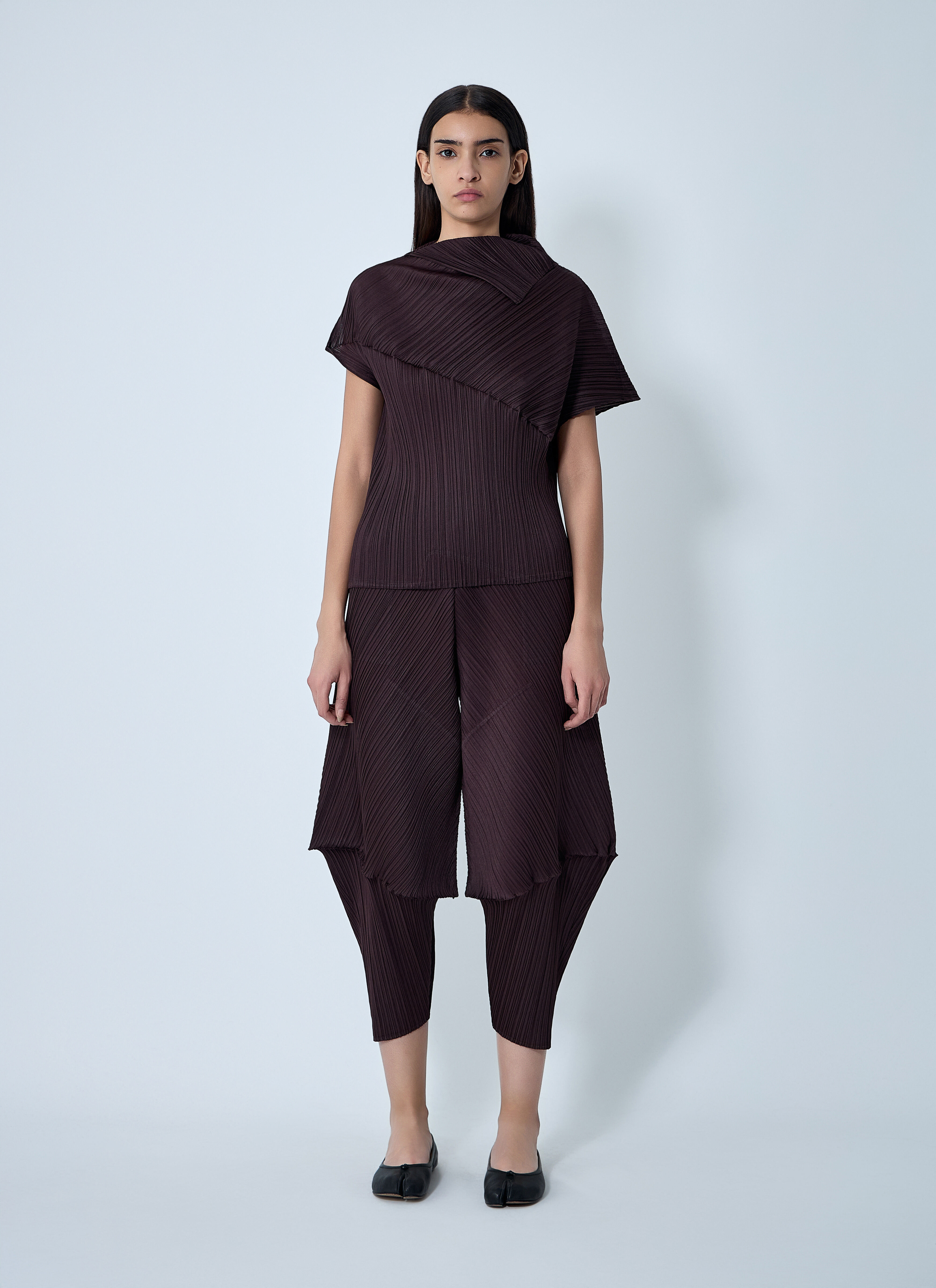 Pleated Pants - 2
