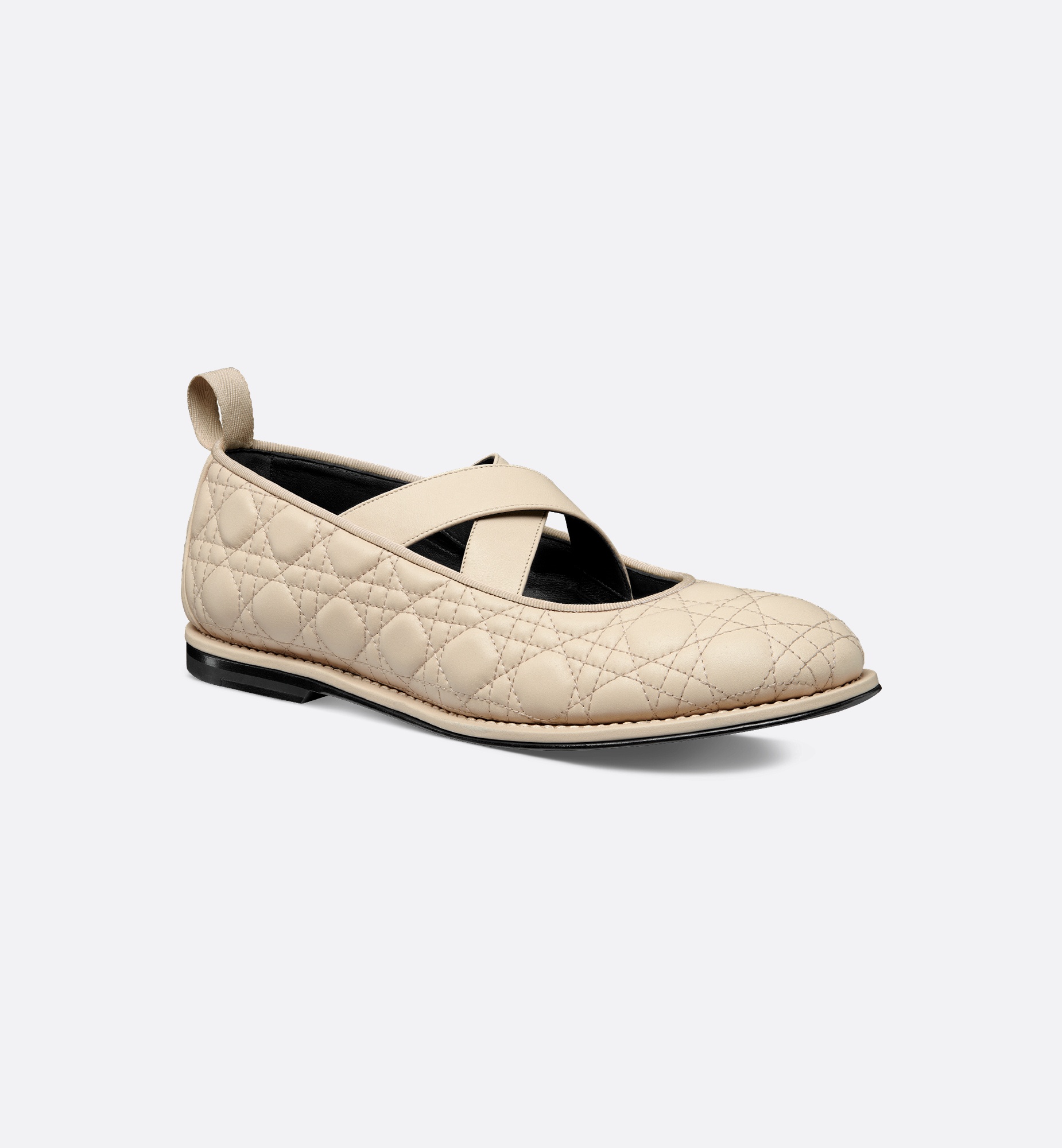 Dior Tendu Ballet Flat - 7