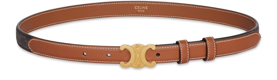 Small Triomphe Belt In Triomphe Canvas And Calfskin - 2