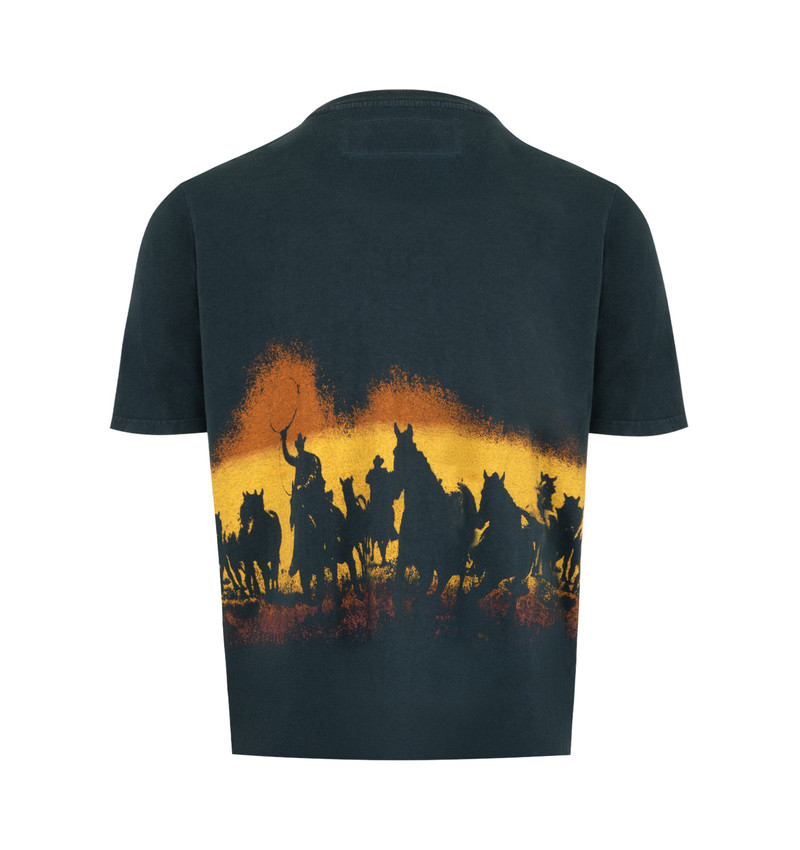 One Of These Days VELVET MORNING T-SHIRT outlook