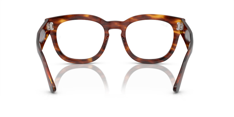 MEGA HAWKEYE OPTICS 6