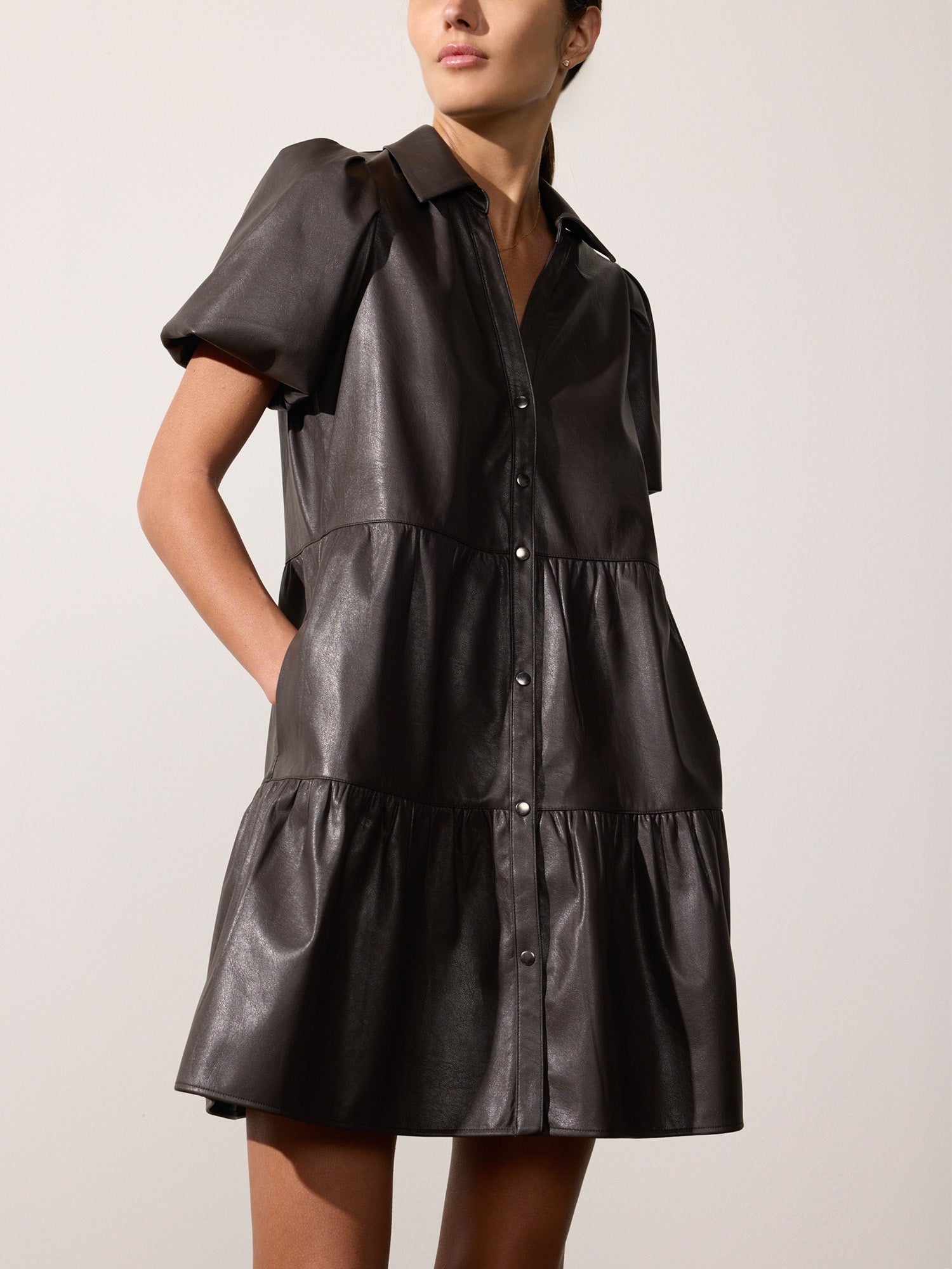 The Havana Vegan Leather Mini Dress - 2