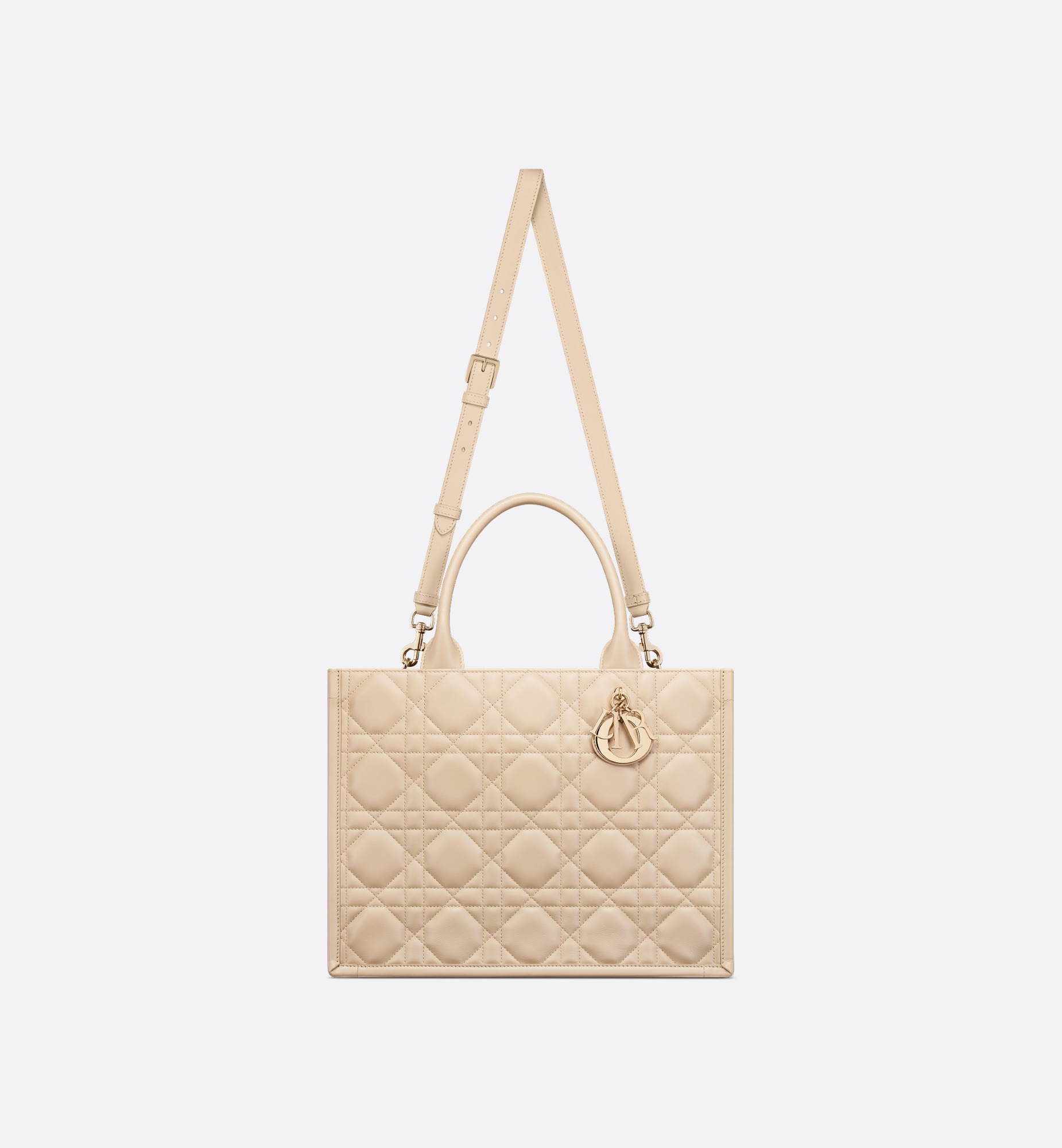 Medium Dior Book Tote - 8