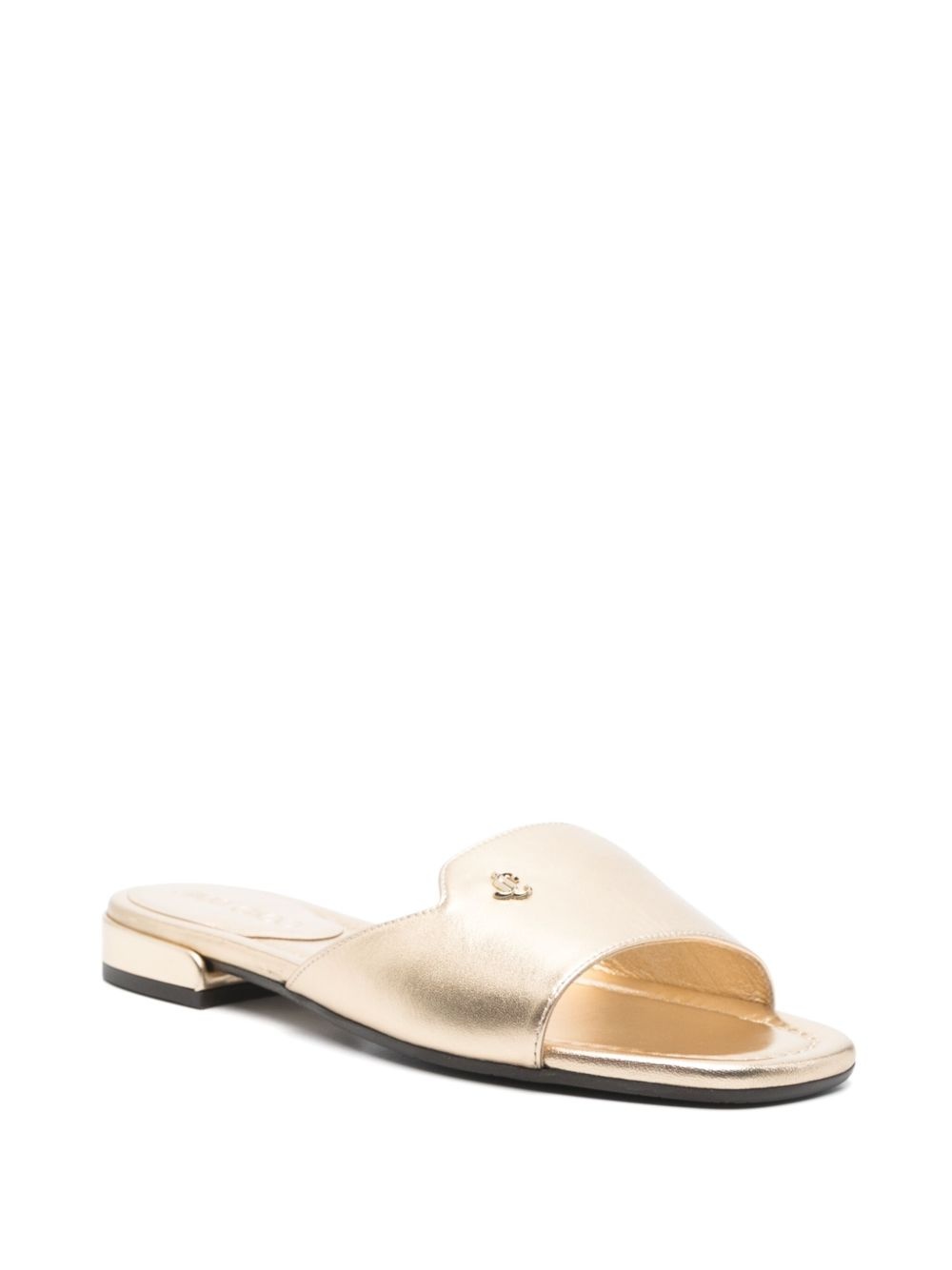 Dina slides - 2