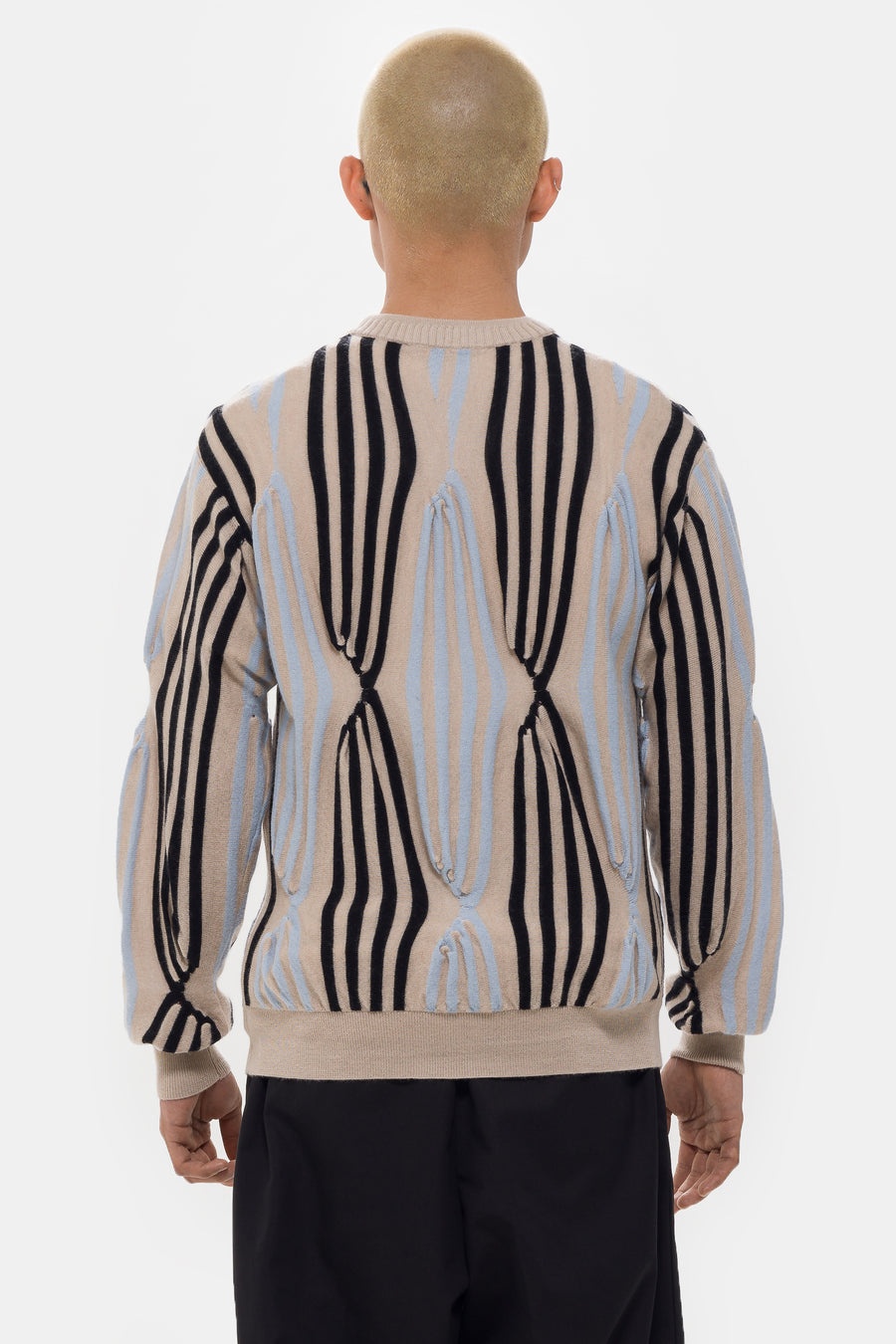 Solix Jumper in Beige/Black/Light Blue - 3