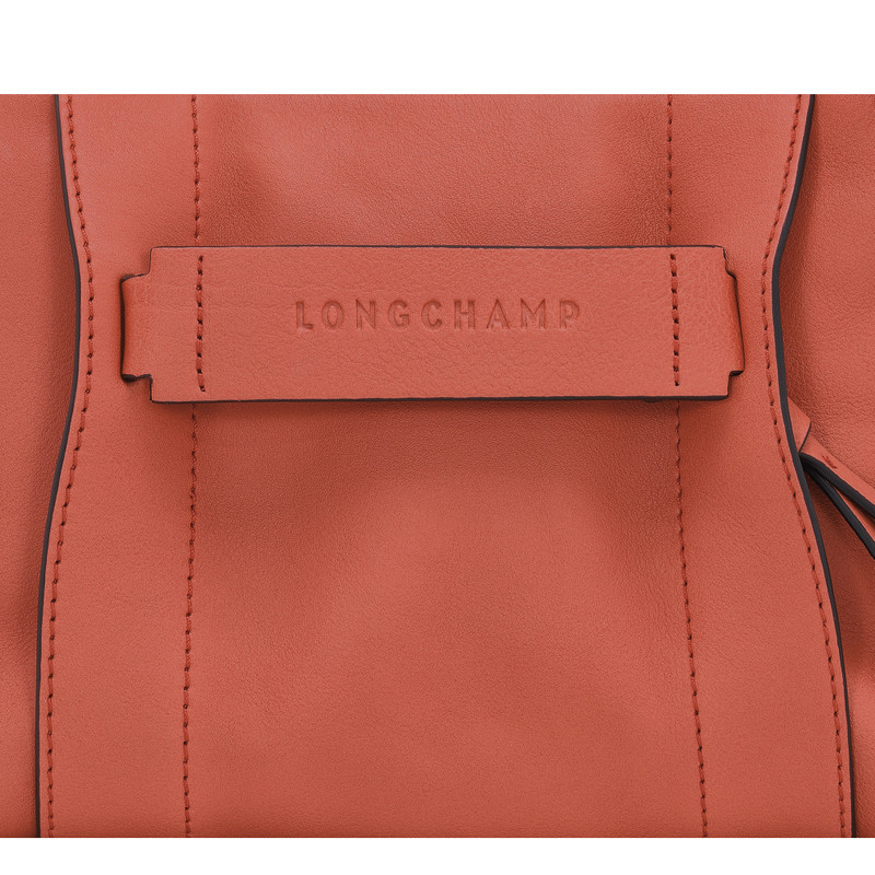 Longchamp 3D S Crossbody bag Sienna - Leather 5