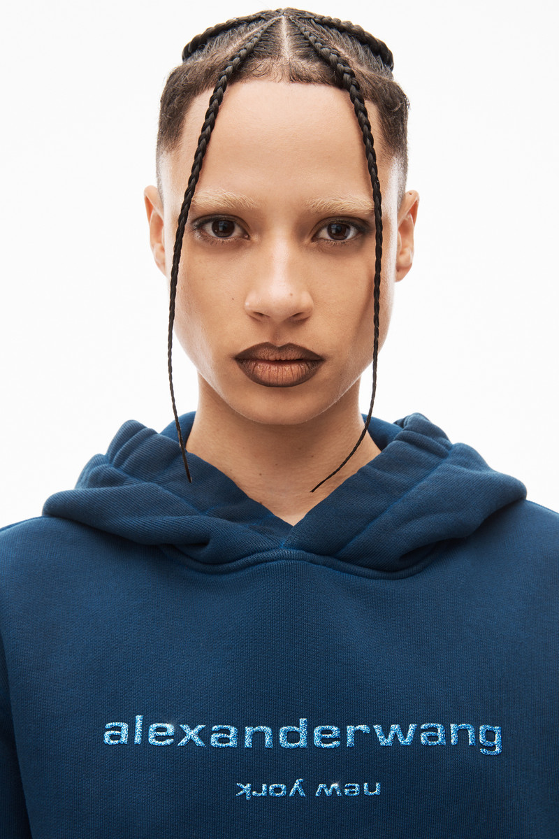 glitter logo hoodie in classic terry 5