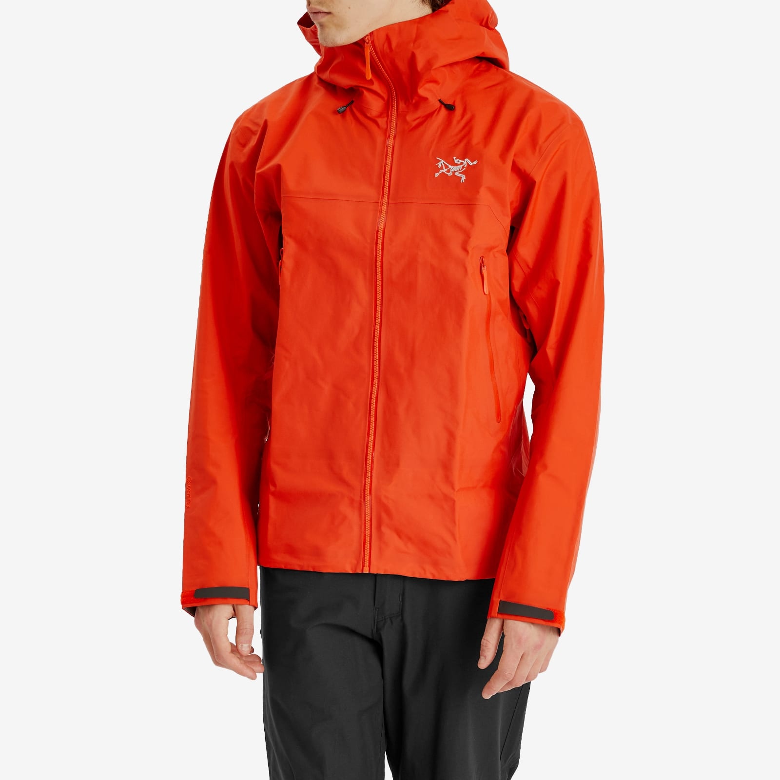 Arc'teryx Beta SL Gore-Tex Jacket - 2