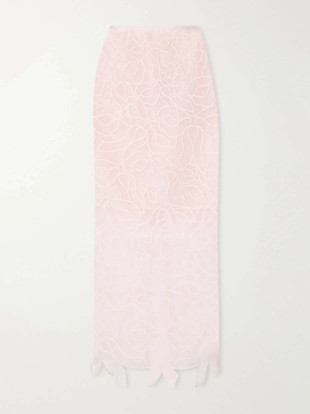 Cbgus Embroidered Organza Maxi Skirt - 1
