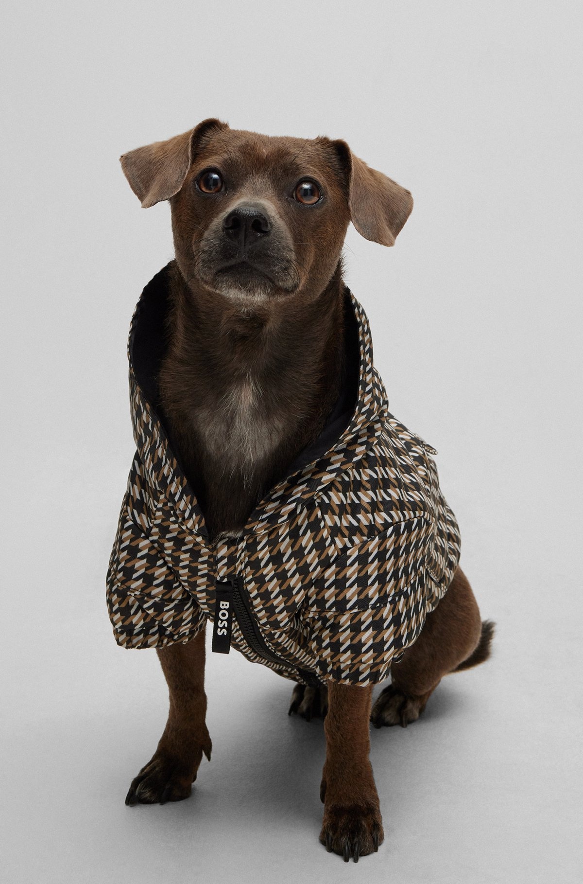 DOG WATERPROOF RAIN JACKET - 6