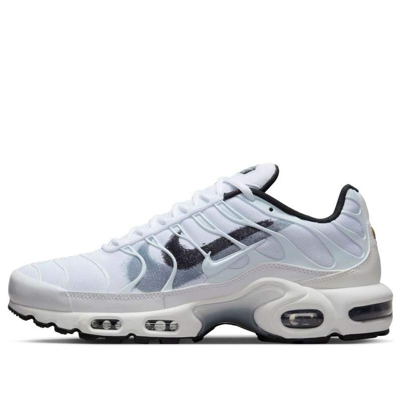 Nike Air Max Terrascape Plus 'Spray Paint Swoosh' FD0658-100 - 1
