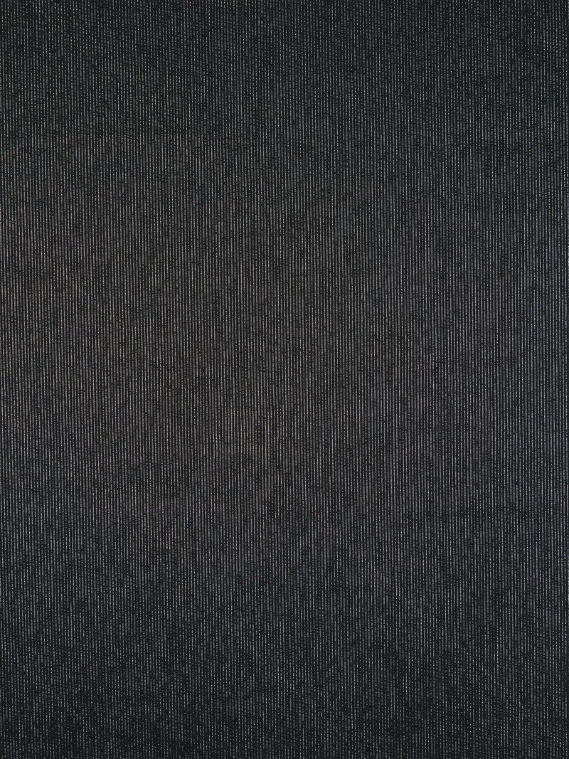 ELISABETTA FRANCHI logo-jacquard lurex scarf outlook