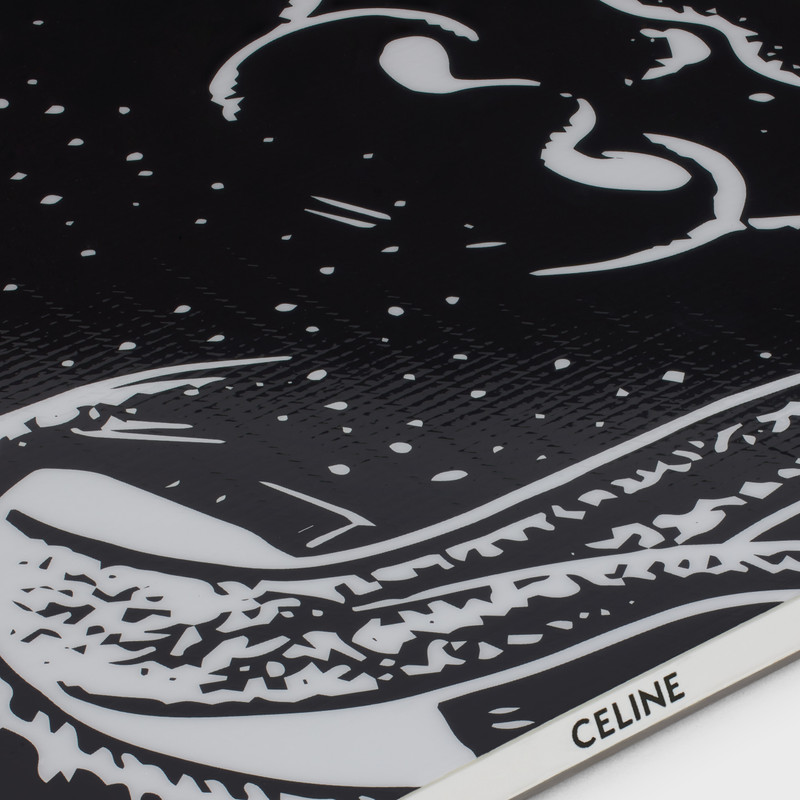 SNOWBOARD ARTIST PRINT 3