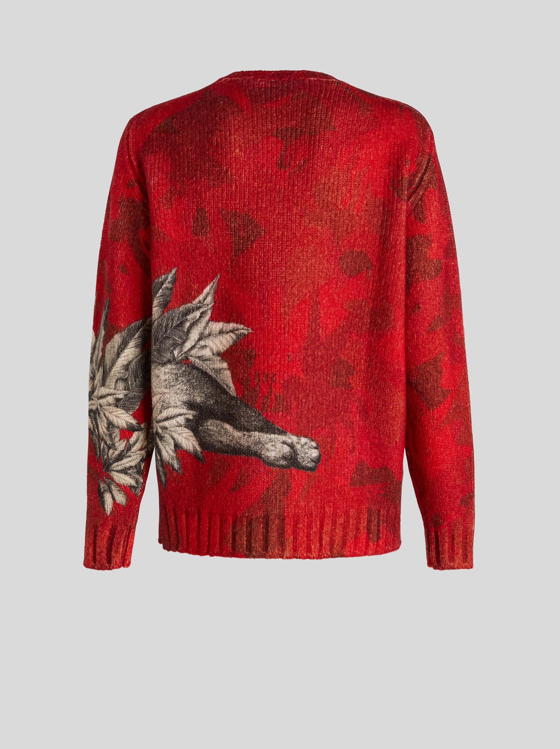 PRINTED PEGASO PEGAFLYING JUMPER - 5
