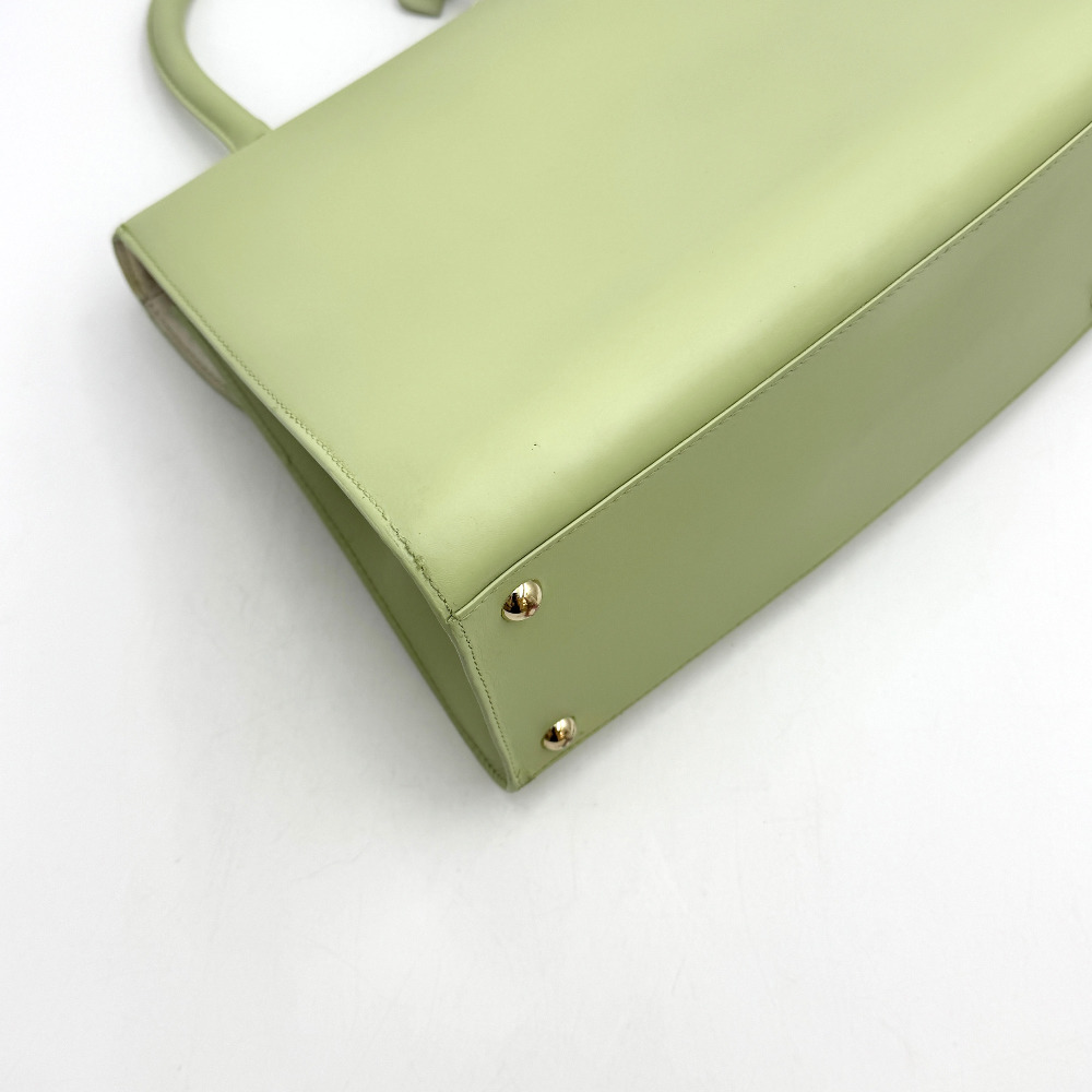 Delvaux - Delvaux Mint Briand MM - 13