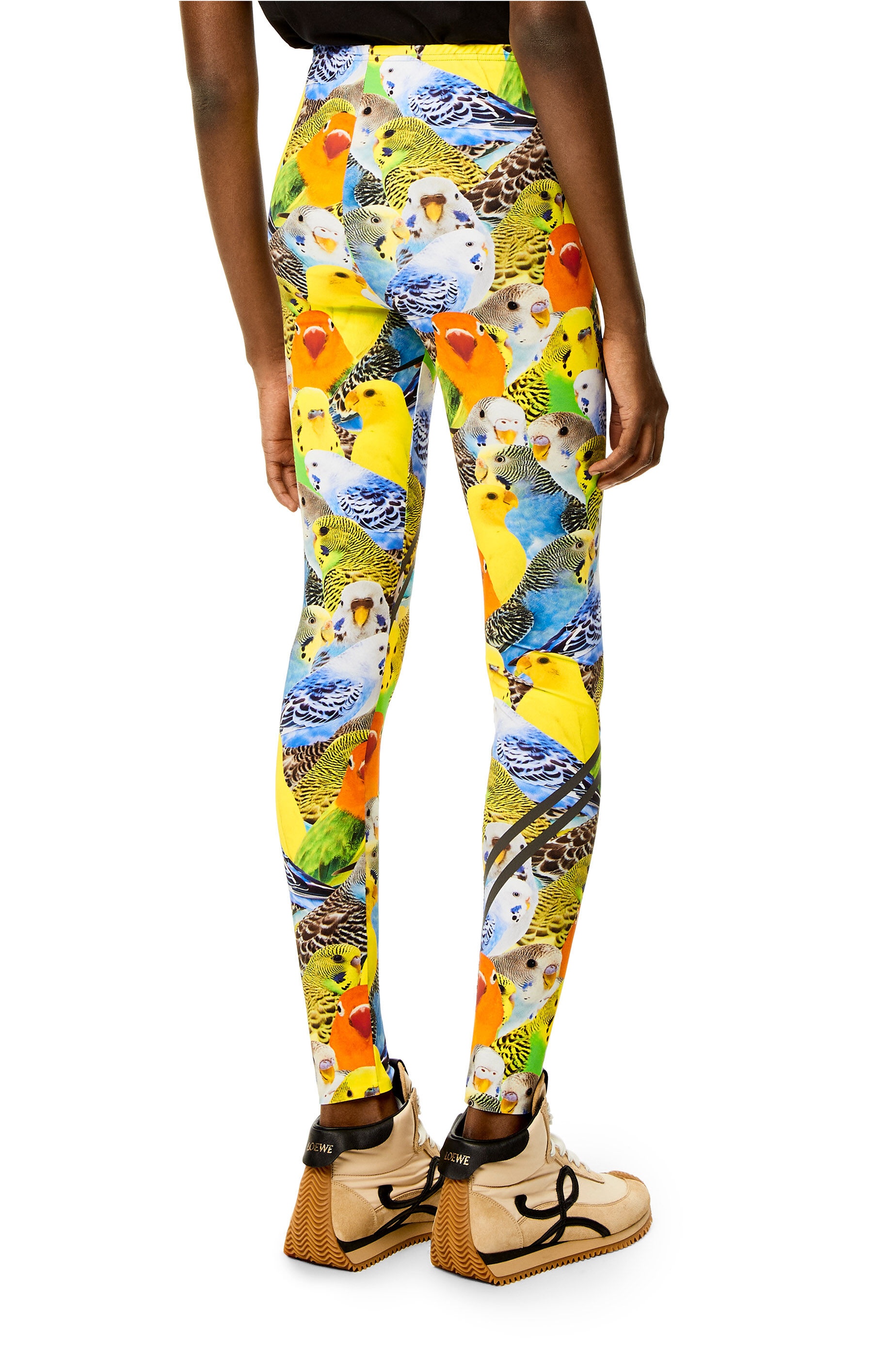 Parrots leggings in polyamide - 4