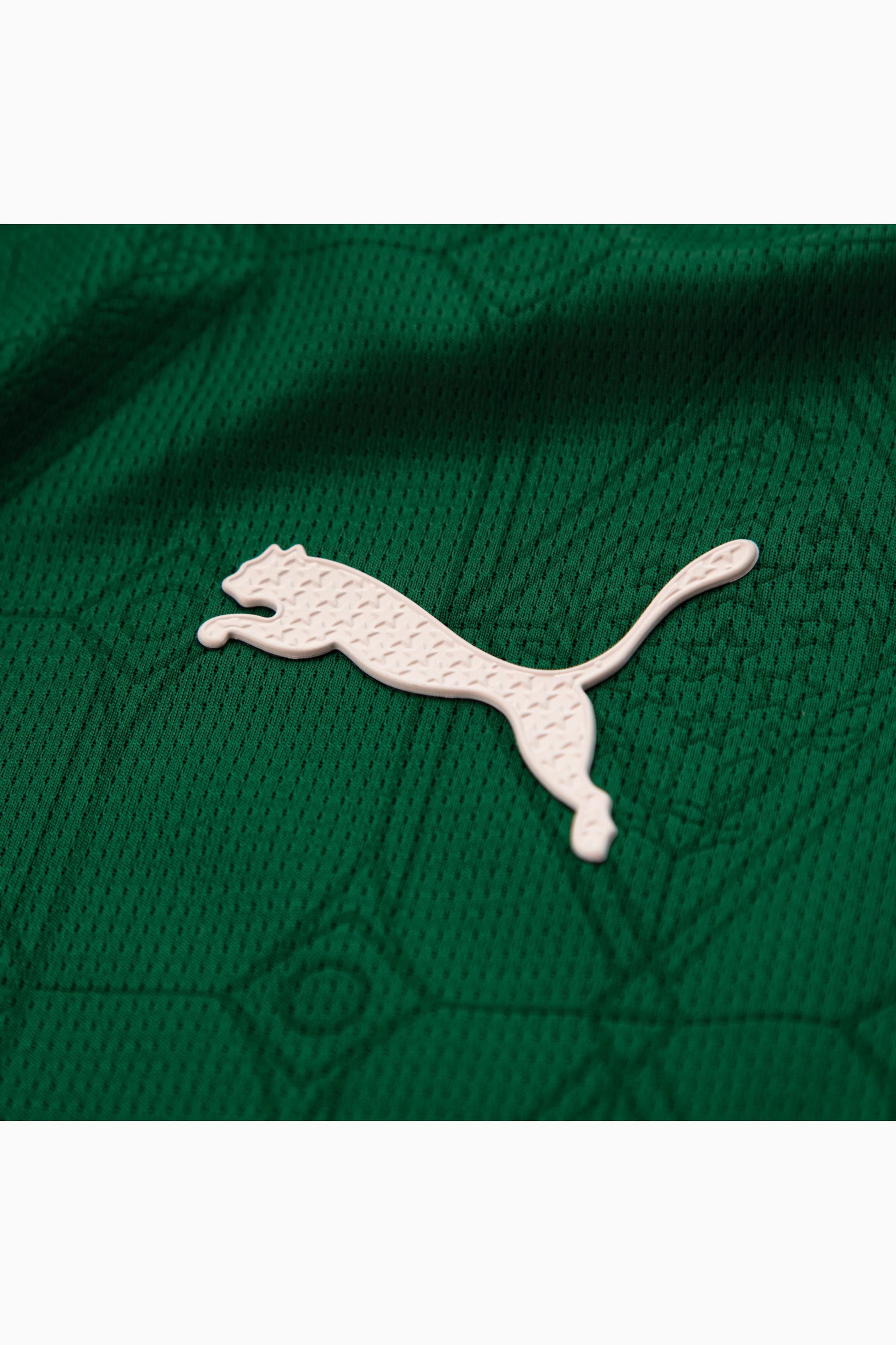 Palmeiras Jogador Home Jsy25 Men - 9