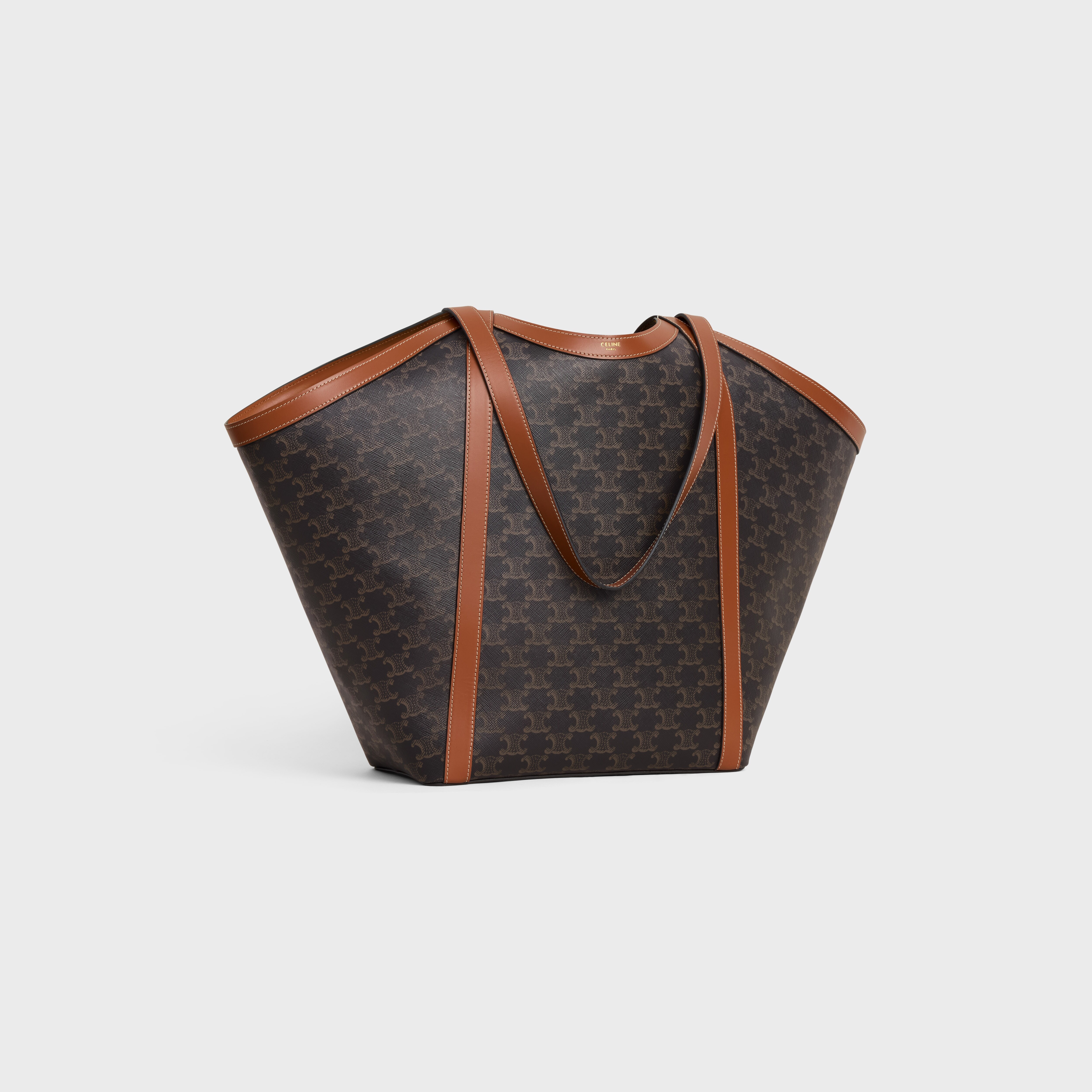LARGE CABAS IN Triomphe canvas and calfskin - 2