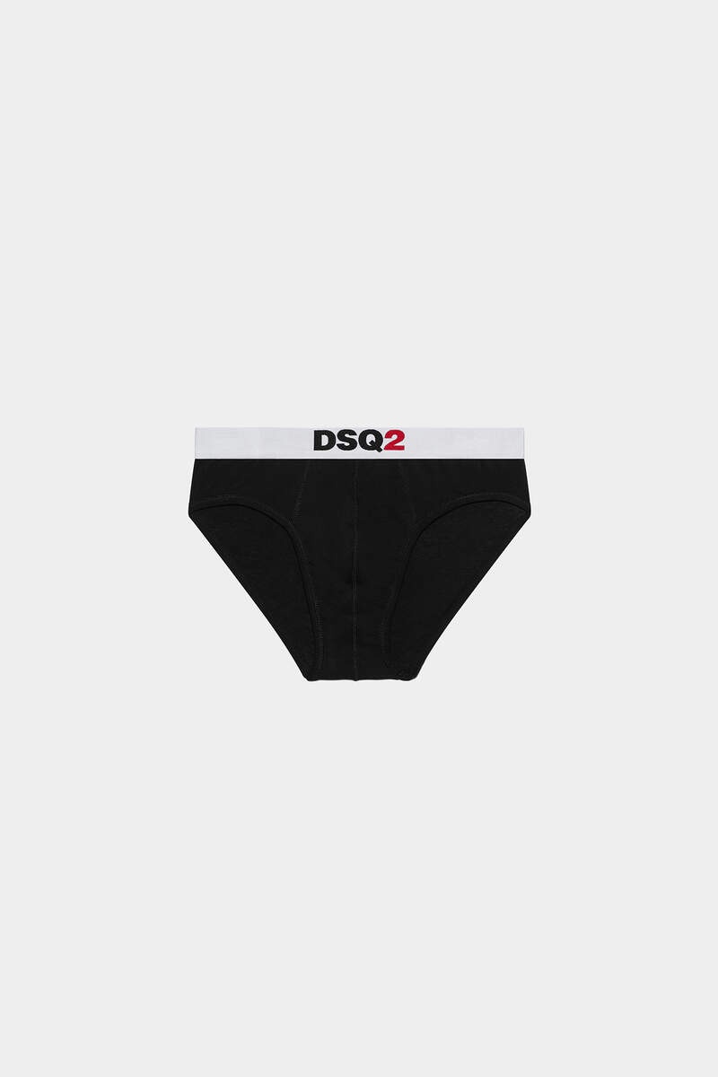 DSQ2 BRIEF - 1
