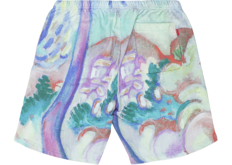 Supreme Supreme Landscape Sweatshort Multicolor outlook