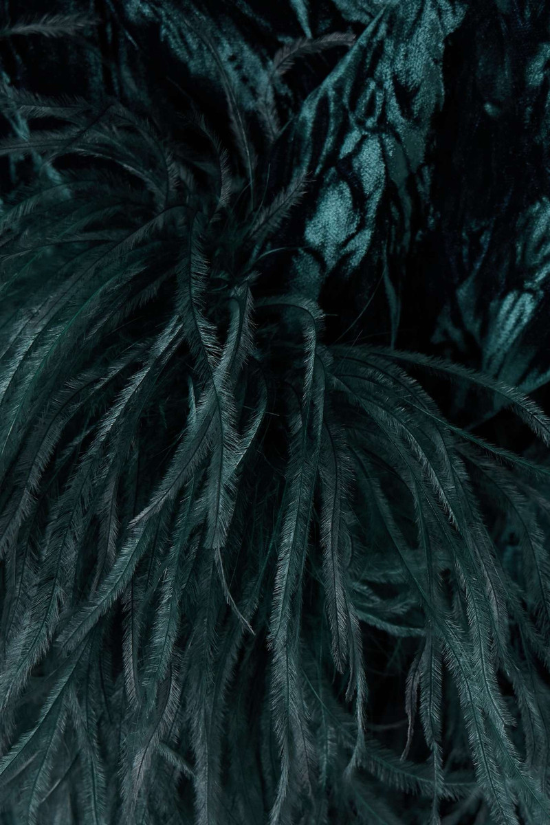 Adelaide one-shoulder feather-trimmed crushed-velvet mini dress 4