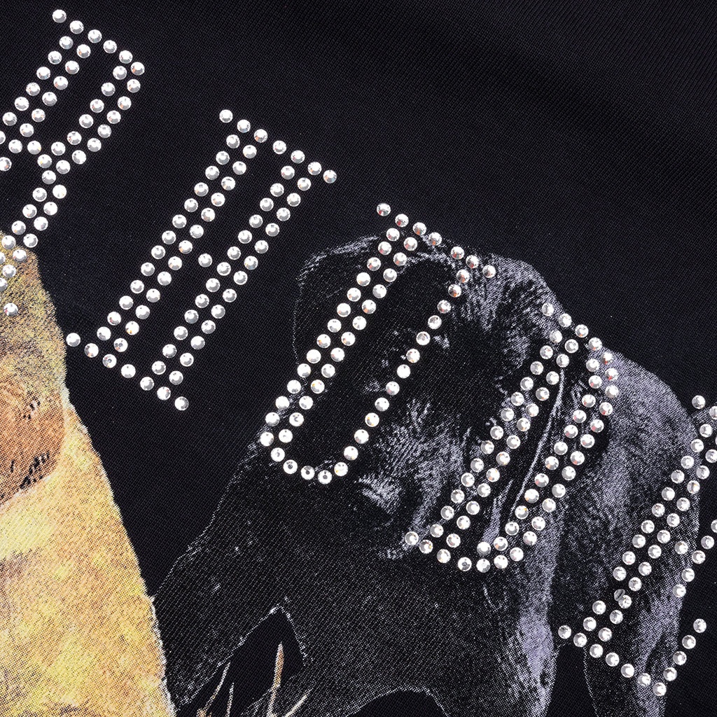 RHINESTONE HUNTING DOG TEE - VINTAGE BLACK - 3
