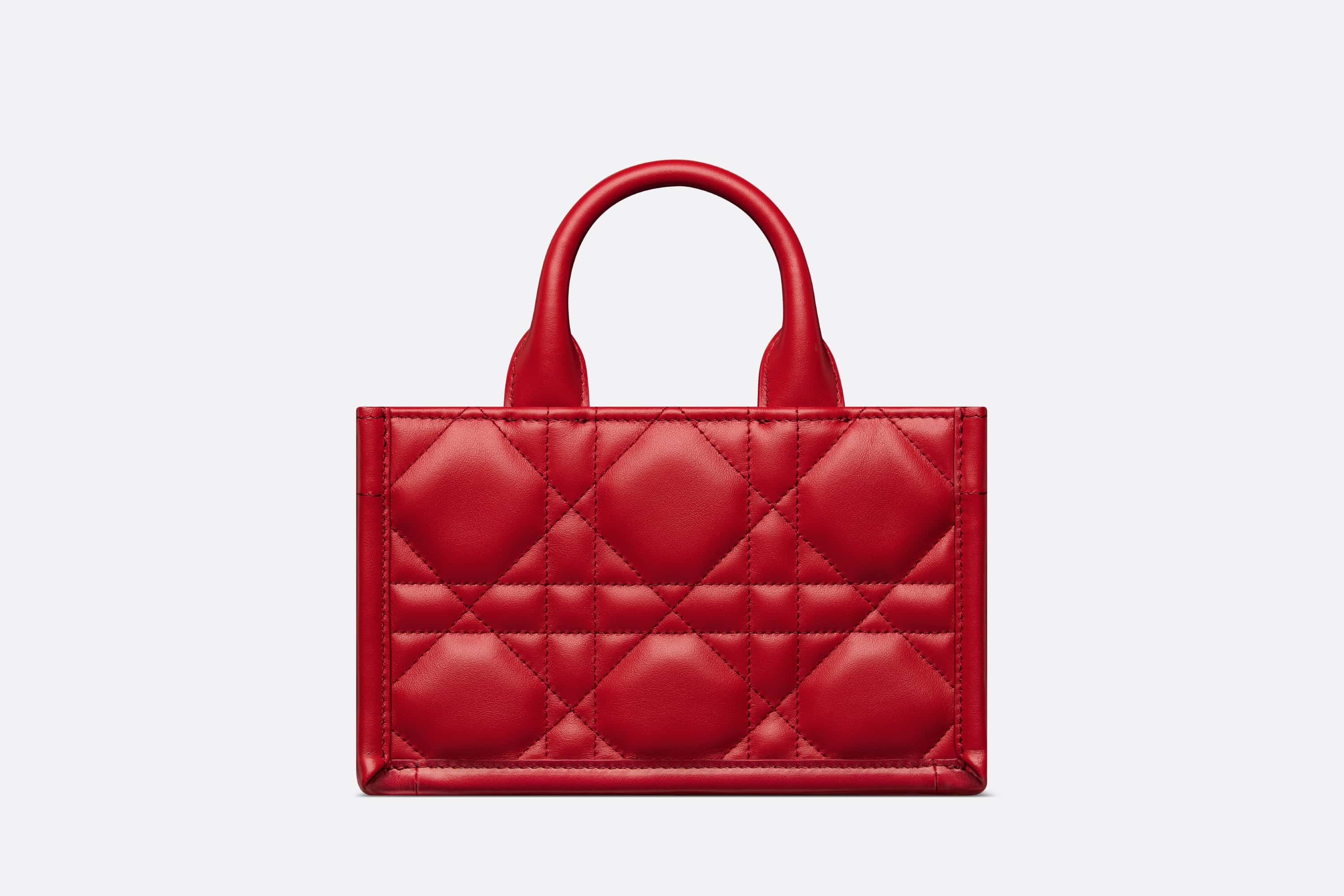 Dioramour Mini Dior Book Tote - 5