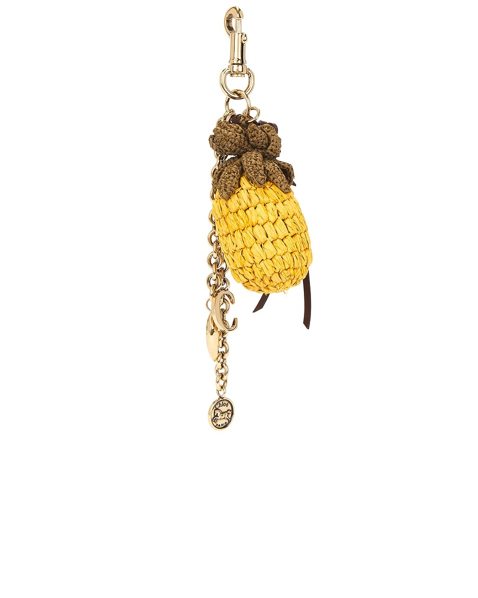 Pineapple Symbols Keychain - 3