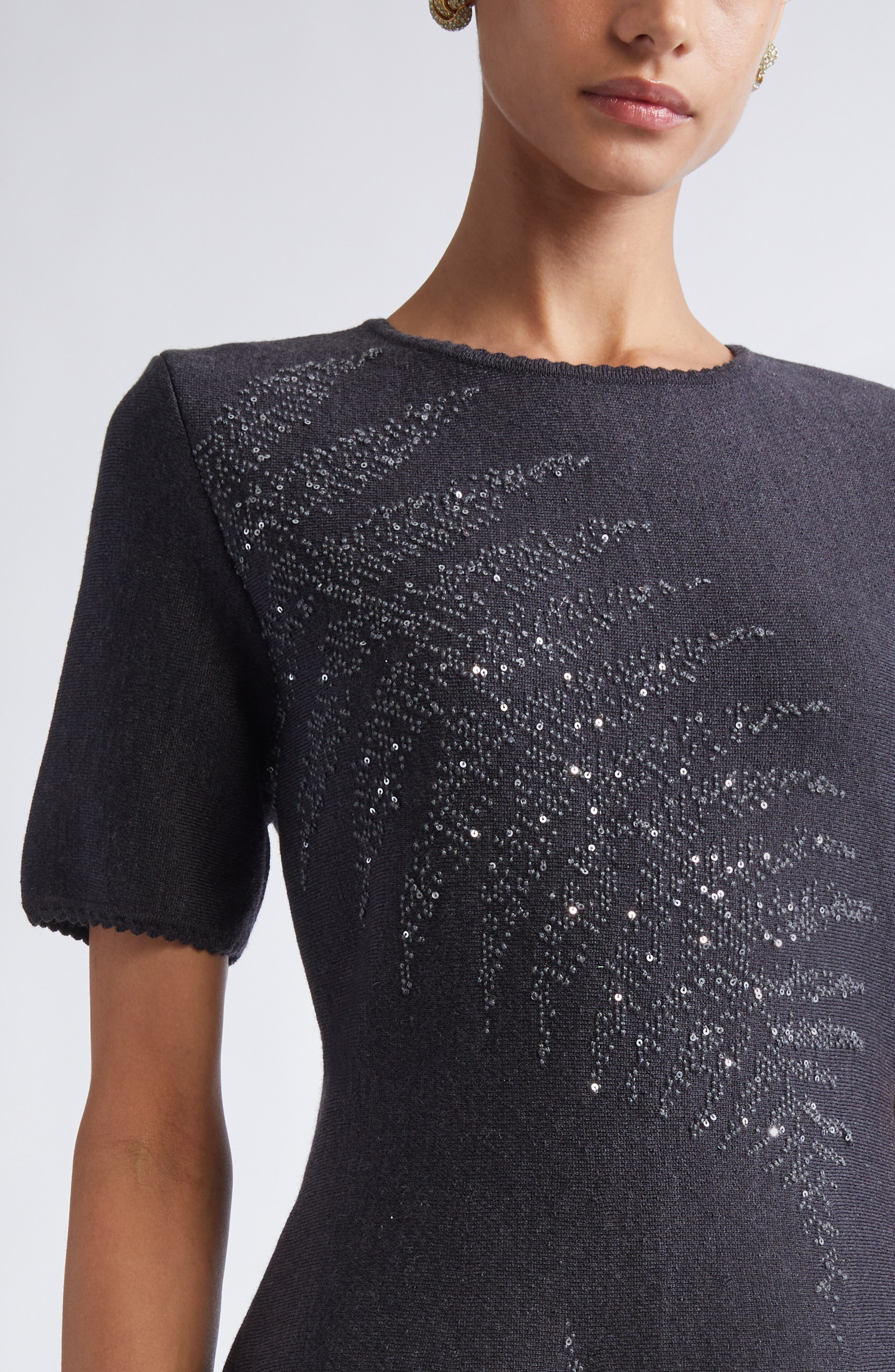 Oscar de la Renta Fern Sequin Embroidered Fit & Flare Dress in Charcoal at Nordstrom - 4