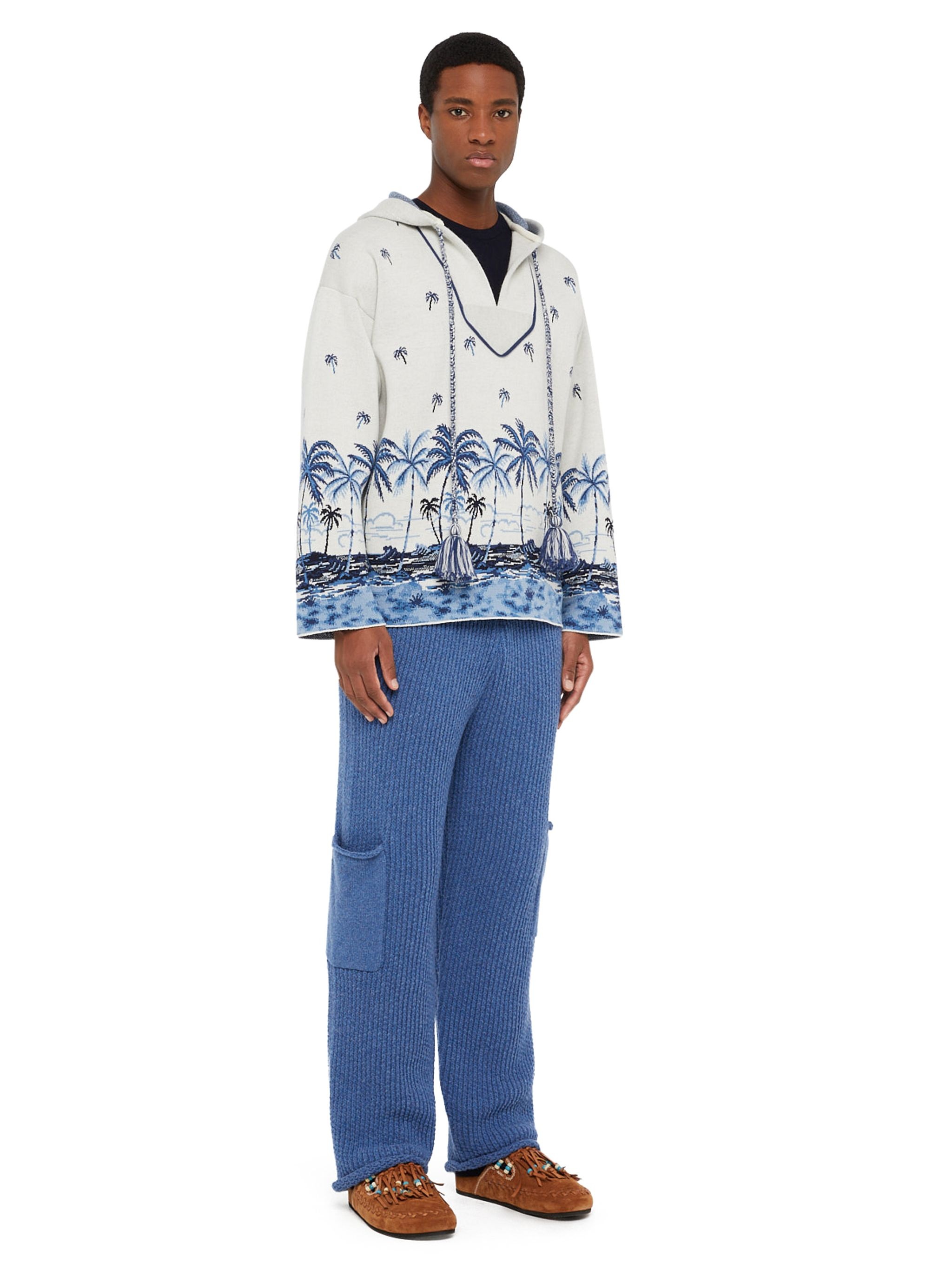 The Tale Of A Hawaiian Hoodie - 5