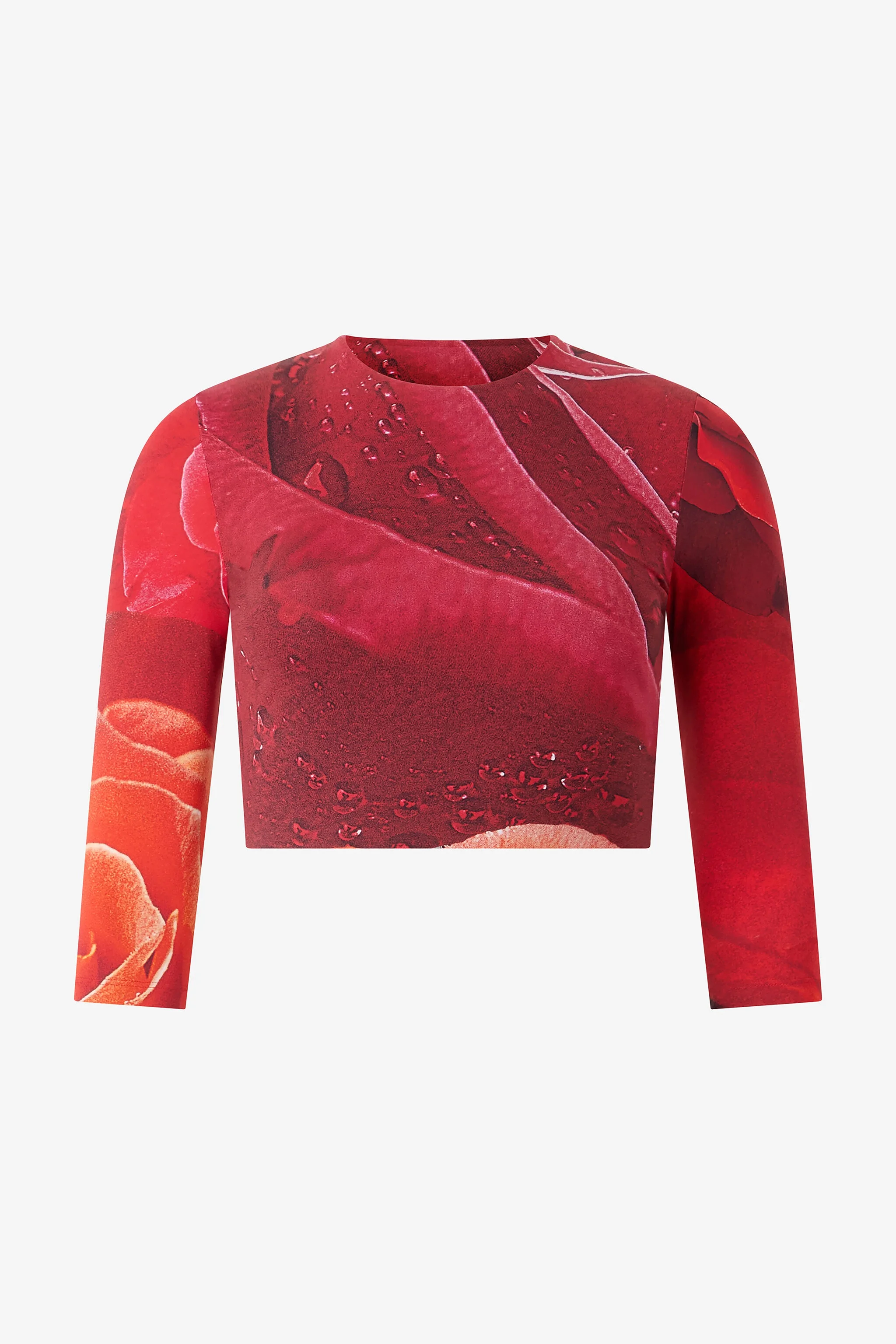 Rose-Print Crop Top - 1