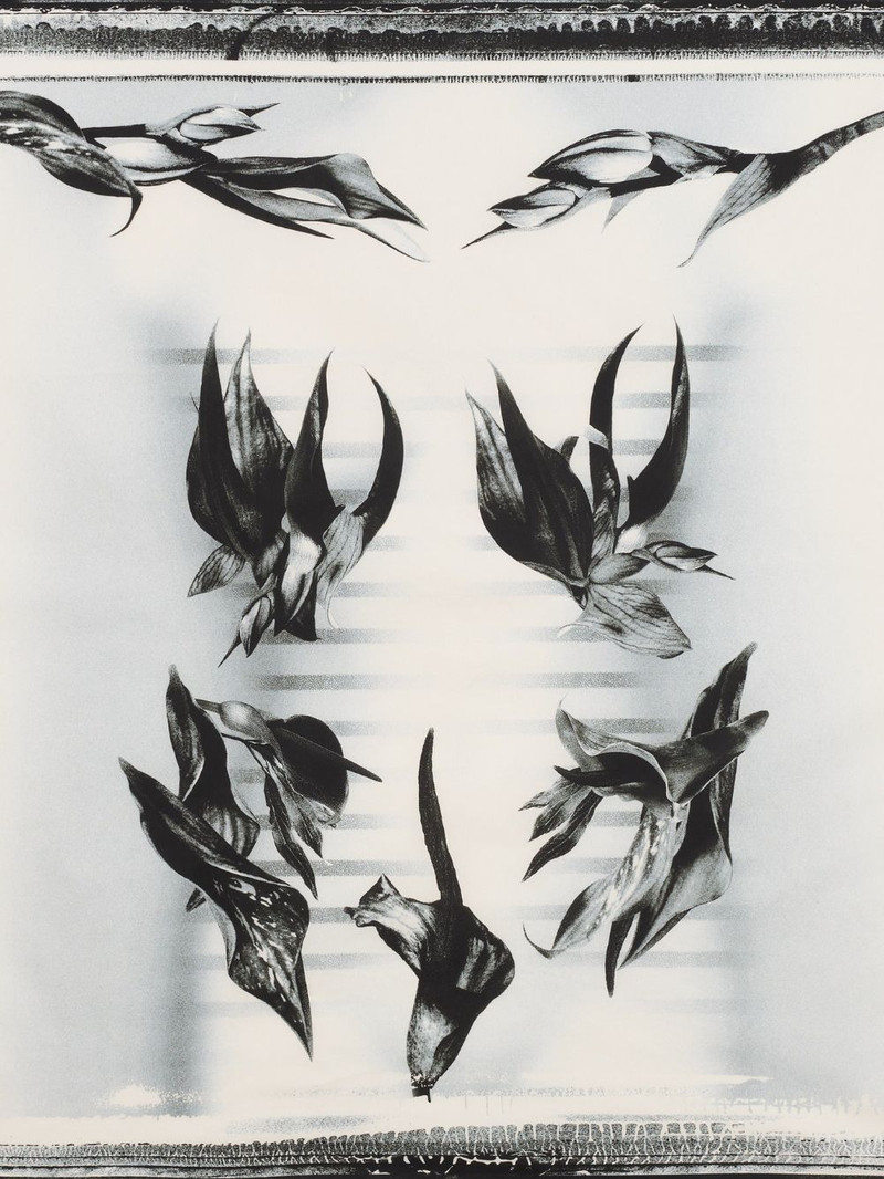 Jean Paul Gaultier printed sarong outlook