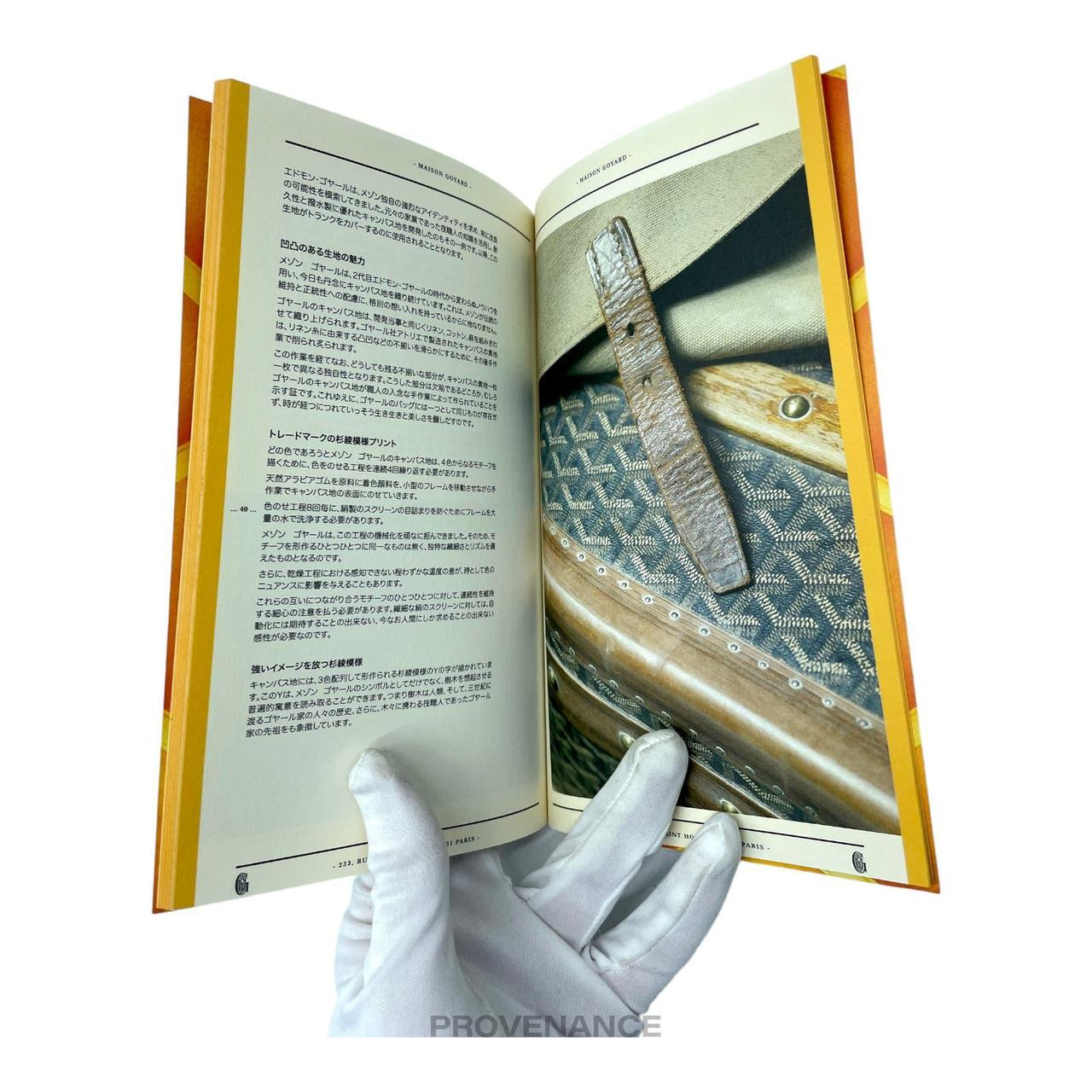 Goyard Book - 7