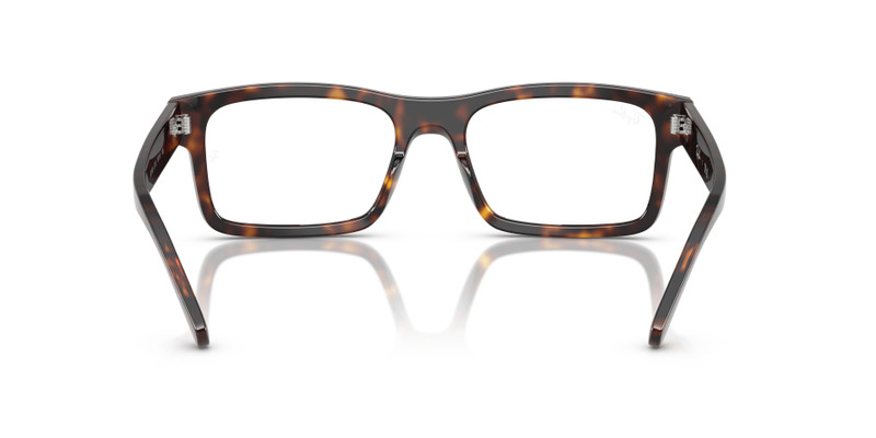 RB5435 OPTICS 6