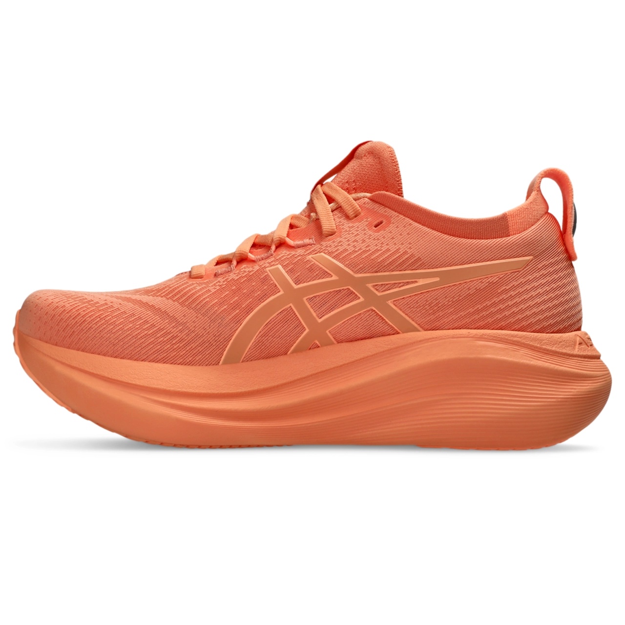 GEL-NIMBUS 27 LITE-SHOW - 4