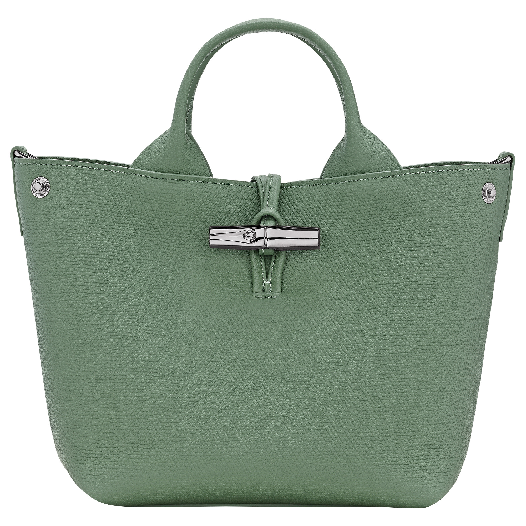 Le Roseau S Handbag Oregano - Leather - 5