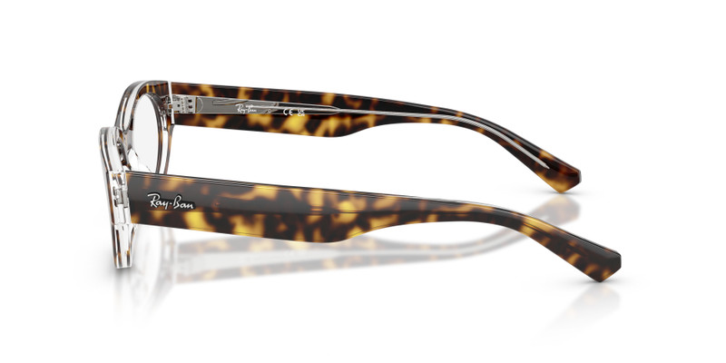 RB5447 OPTICS 5